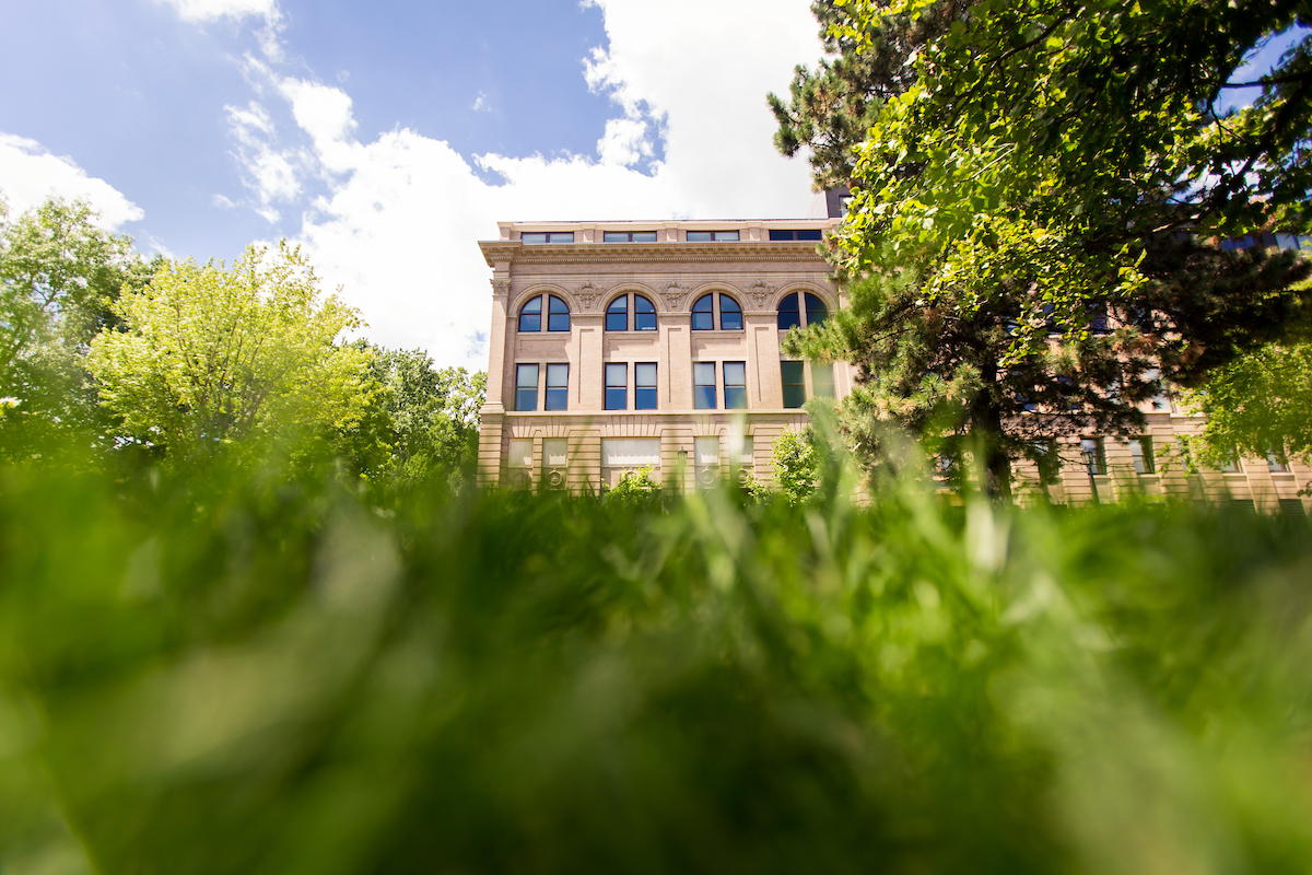 grass on bascom hill looking at education building
