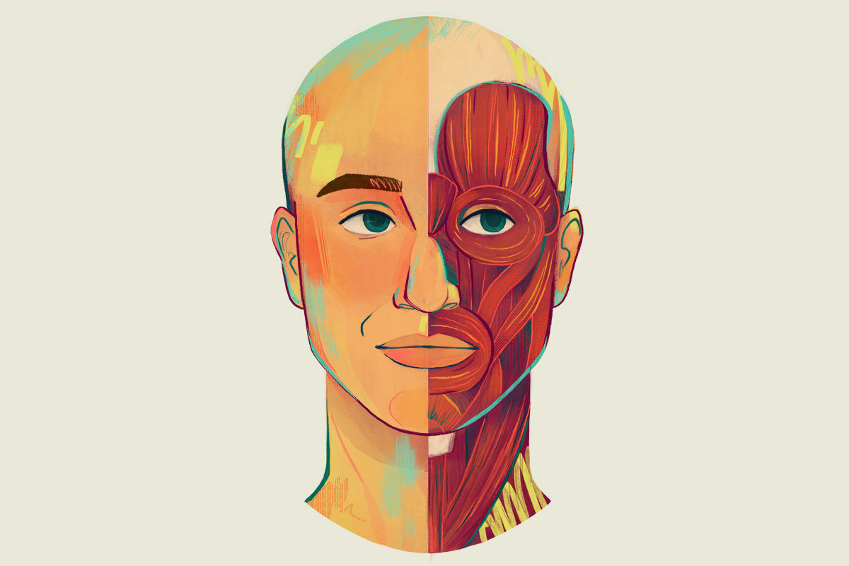 Illustration of a human head. Half of the head has skin, and the other half shows the muscles