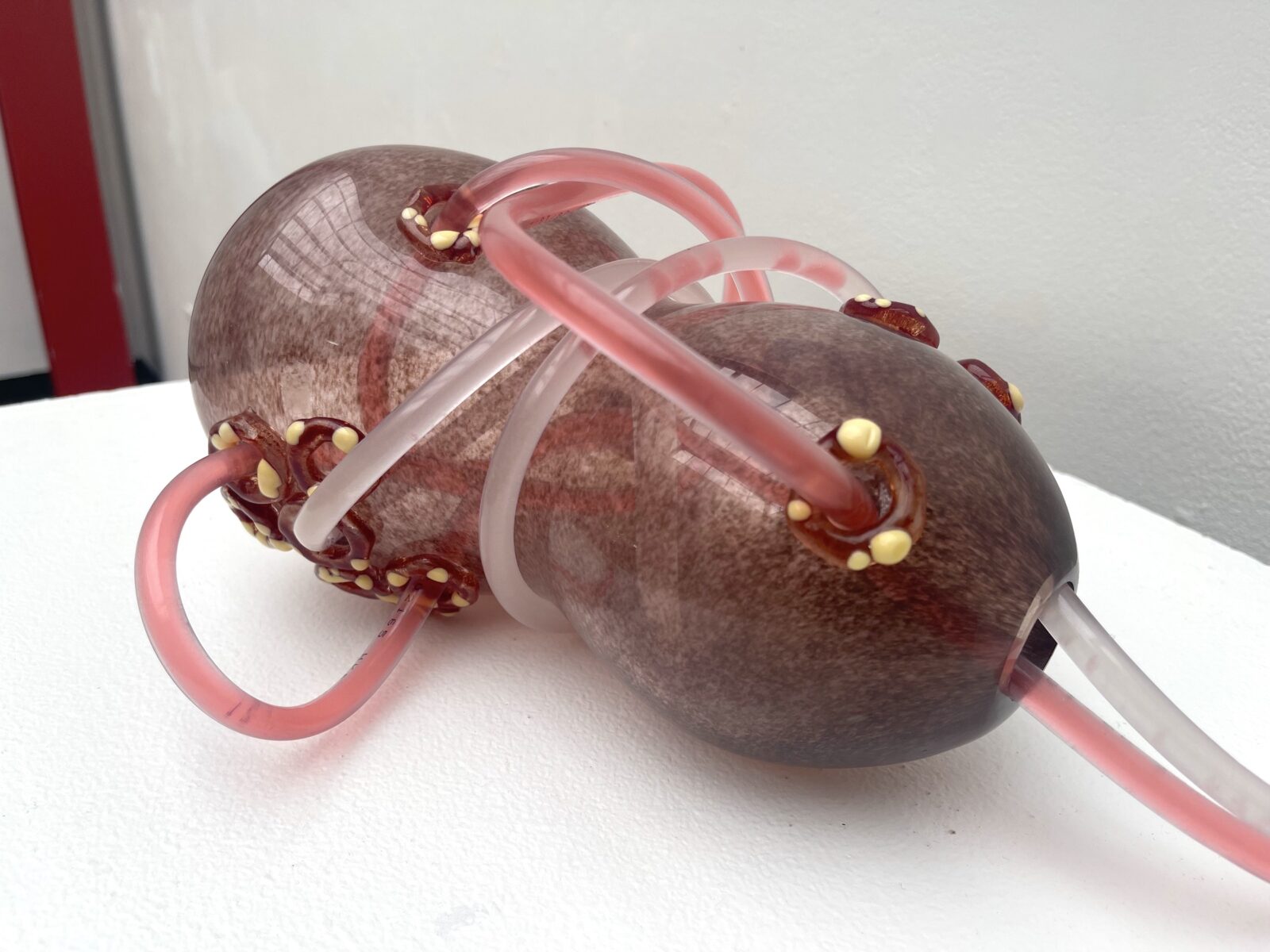 paracentesis art piece