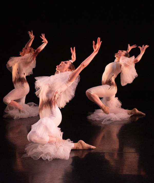 Jin-Wen Yu Dance