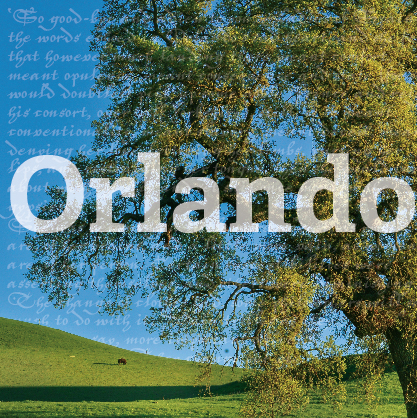Orlando Poster