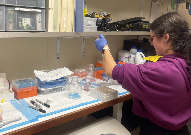 in a lab with beakers and pipettes