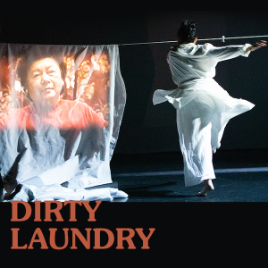 screen shot of dirty laundry