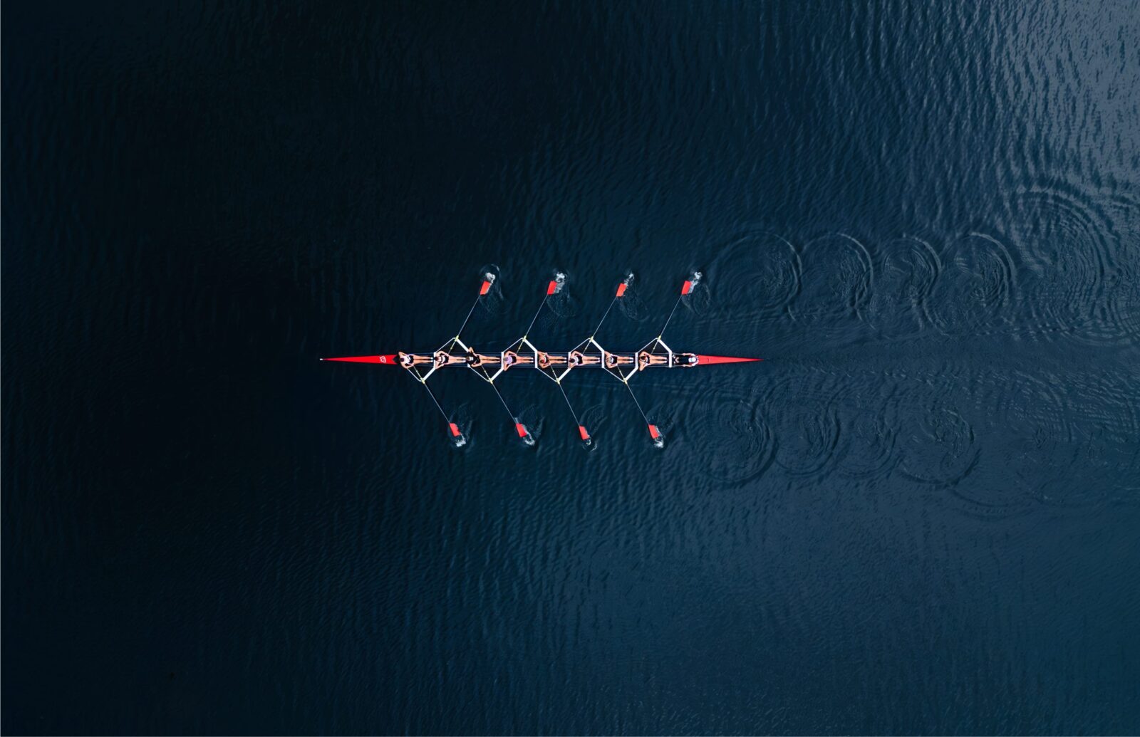 boat with several rowers