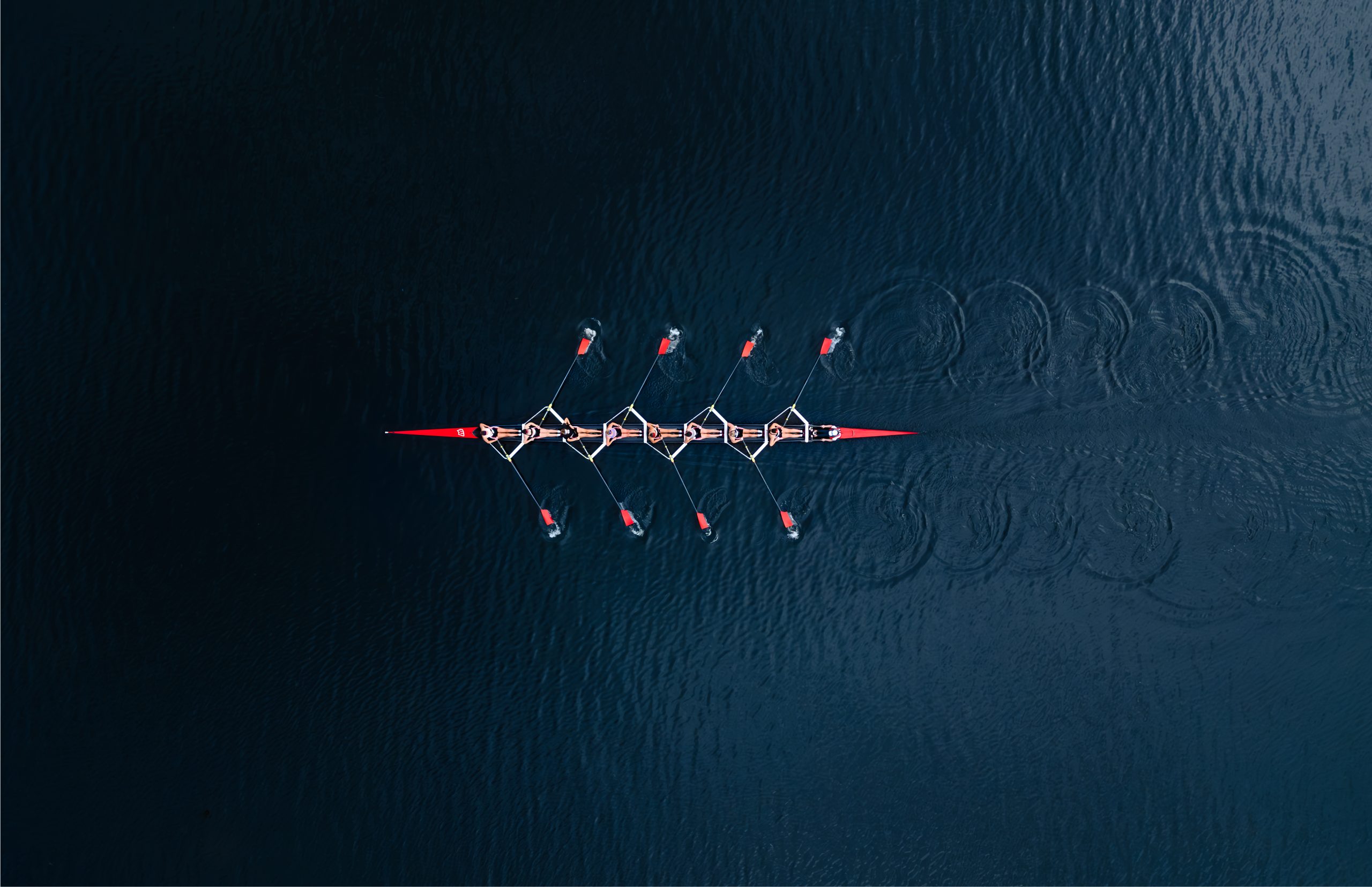 Aerial view of rowing team on lake