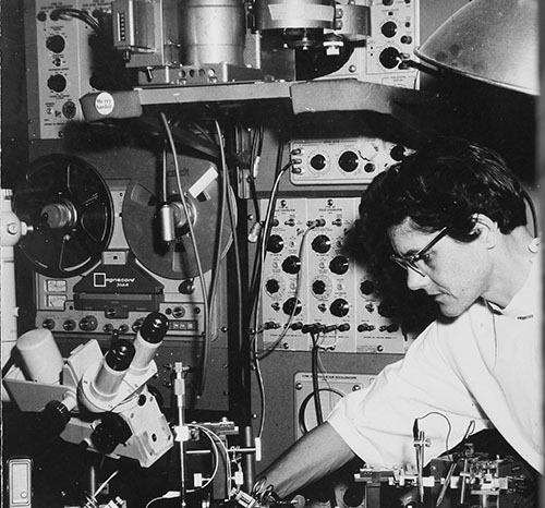 Roberts works in her lab. Image courtesy Charlie Roberts
