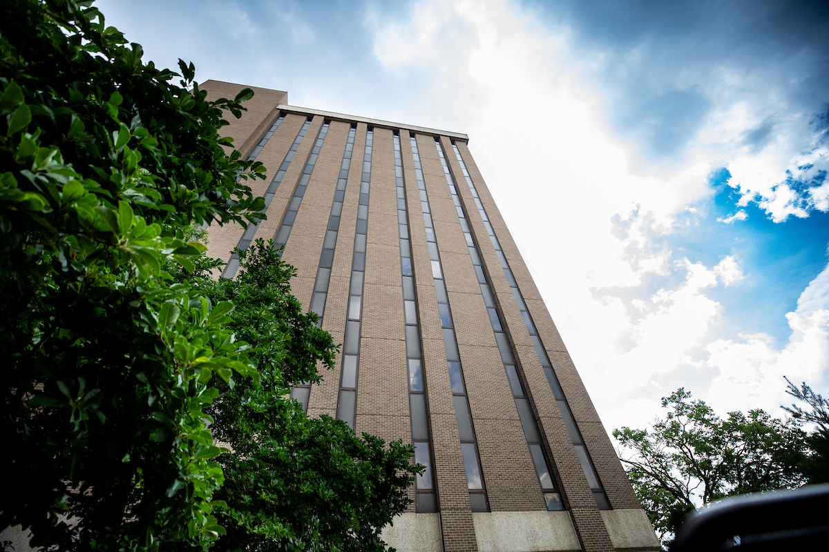a tall building with a tree