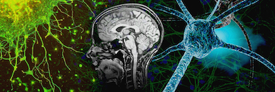 Neuroscience collage