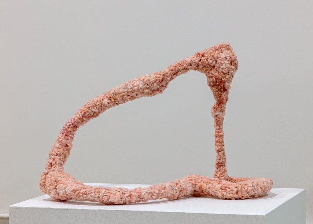 Figueroa-Daley’s piece, titled “EPIDERMIS//HYPODERMIS,” combines glass with pink fiberglass insulation to create a thought-provoking visual exploration of skin and tissue.
